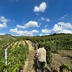 Tenuta Barac *