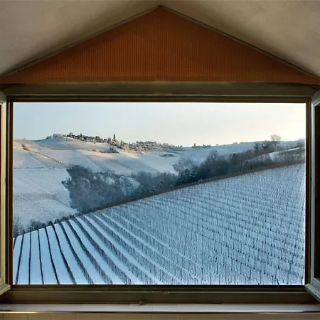 Tenuta Baràc *