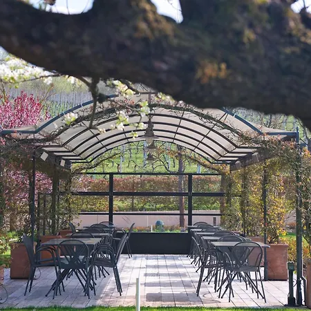 Tenuta Barac * Alba (Piedmont)