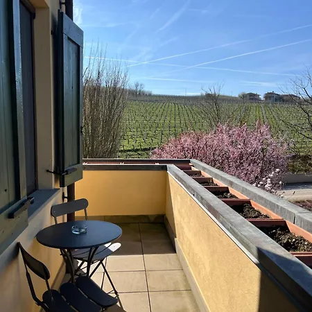 Venkovský dům Tenuta Barac Alba (Piedmont)