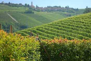Cascina Barac Альба