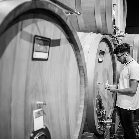 Летний дом Tenuta Barac *