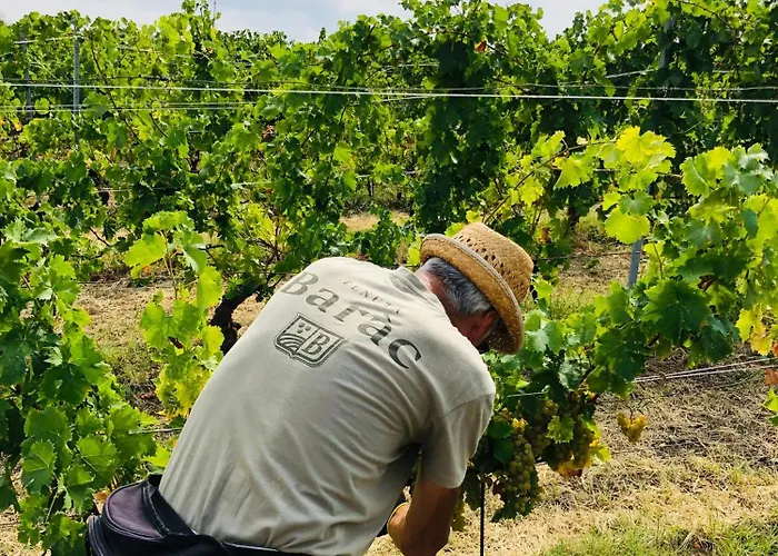 Tenuta Barac Kır Evi Alba (Piedmont)