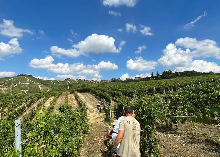 Tenuta Barac *