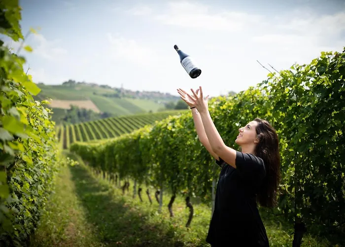 Country house Tenuta Barac Alba (Piedmont)